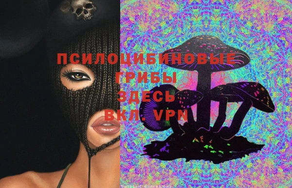 прущая мука Армянск