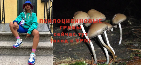 прущая мука Армянск